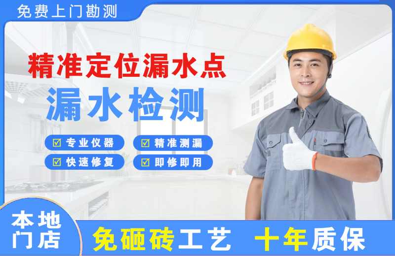 万全精准测漏点